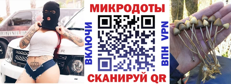 Галлюциногенные грибы ЛСД  Петровск-Забайкальский 