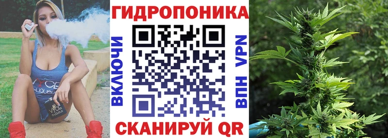 Бошки марихуана White Widow  закладки  Петровск-Забайкальский 